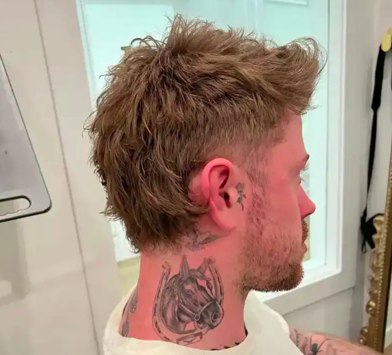 Modern mullet haircut example for men